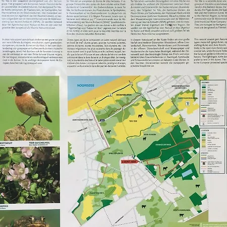 Dom wakacyjny Karin Oostduinkerke